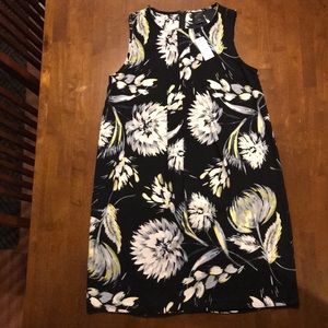 Ann Taylor Dress